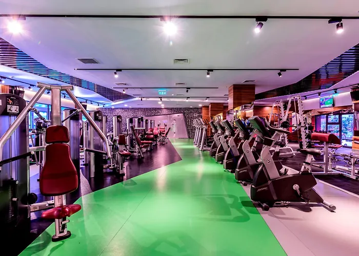 阿迪怒格鲁酒店 酒店 伊斯坦布尔