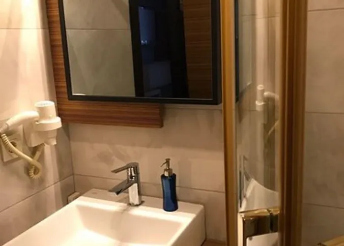 阿迪怒格鲁酒店 4* 伊斯坦布尔